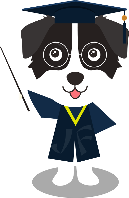 CA88(中国)欢迎您